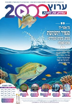 עלון 45 שמיני