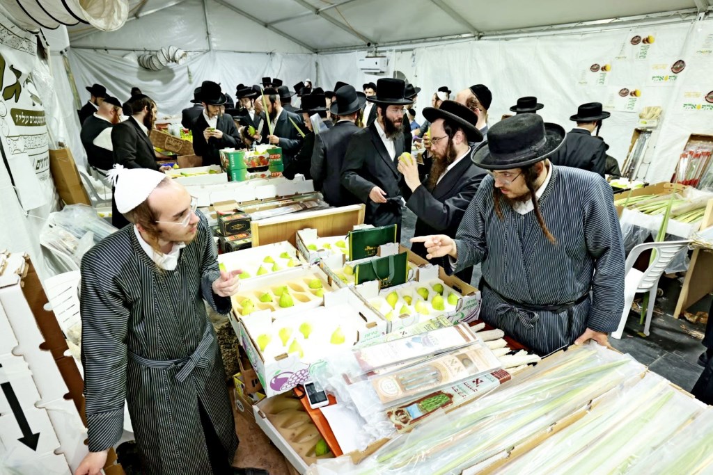 אלפים גדשו את שוק ארבעת המינים ברמה ד' בבית שמש