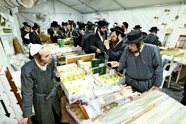 אלפים גדשו את שוק ארבעת המינים ברמה ד' בבית שמש