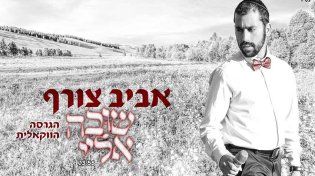 הגרסה הווקאלית&nbsp;של הזמר&nbsp;אביב צורף&nbsp;- לסינגל "שובה אליי"