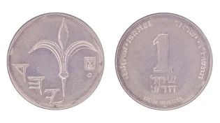 פרשת שקלים