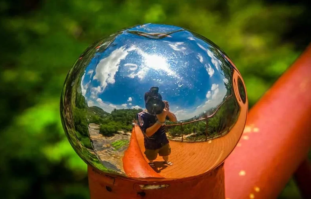 התבוננות עצמית