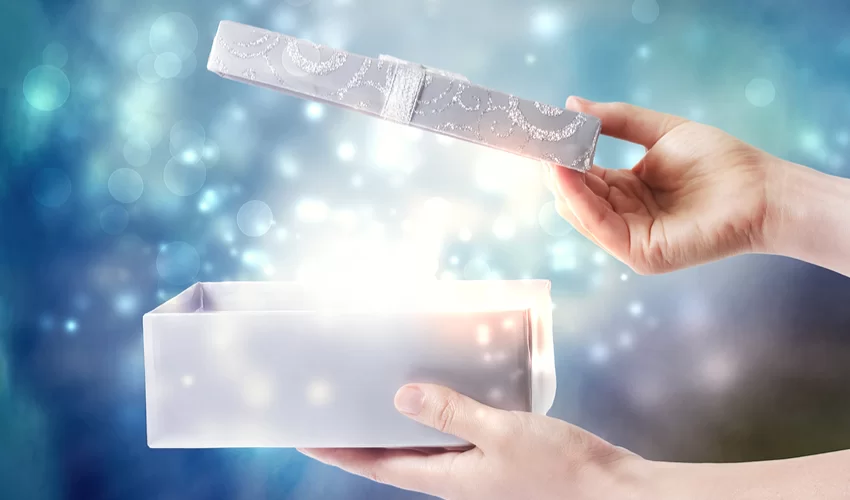 שש זוויות של יופי