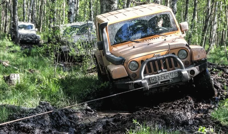 שמע ישראל של ילדה בת 6