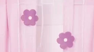 הוילון הורוד
