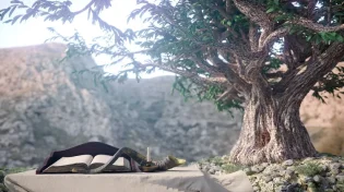 סגולת הלימוד בספר ’אור החיים’