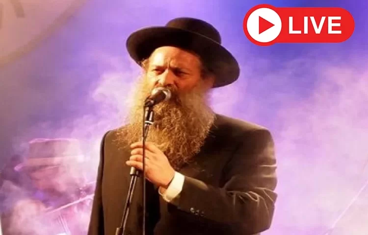 שולי רנד בהופעה חיה שולי רנד בהופעה חיה