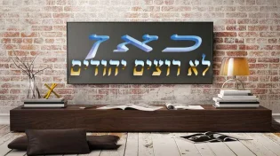 תאגיד השידור האנטי ציבורי