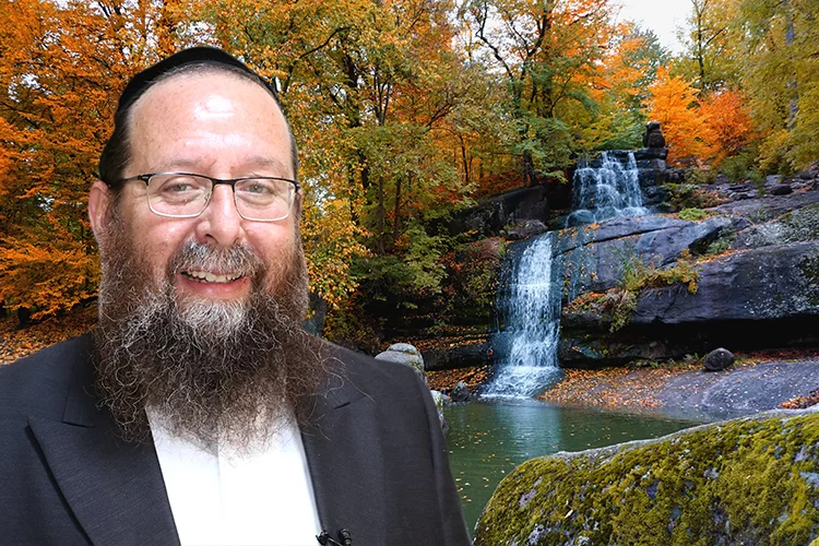 הרב מנחם וייס פרשת שופטים: היהודיה המסתורית שכל ברכותיה מתקבלות