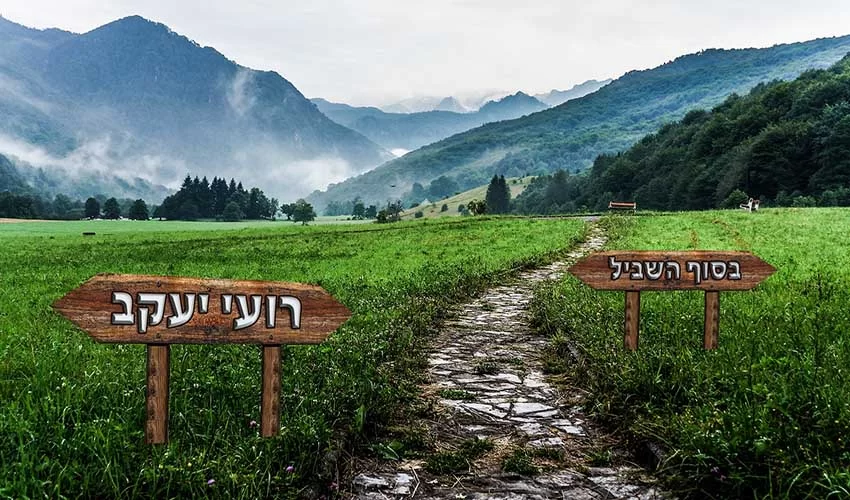 רועי יעקב – בסוף השביל רועי יעקב – בסוף השביל