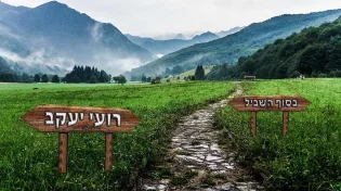 רועי יעקב: בבוקר שף, בערב זמר