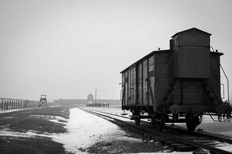 הרב אליעזר קפלן - כי תצא: הזעקה מהרכבת הרב אליעזר קפלן - כי תצא: הזעקה מהרכבת