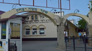 אומן או לא אומן השנה ?