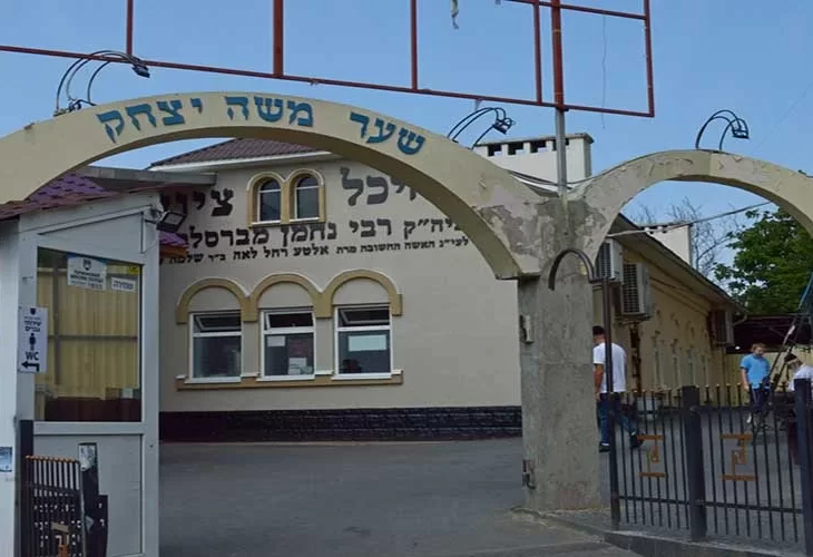 אומן או לא אומן השנה ?