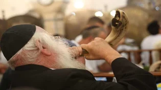 פרוטקציה לראש השנה