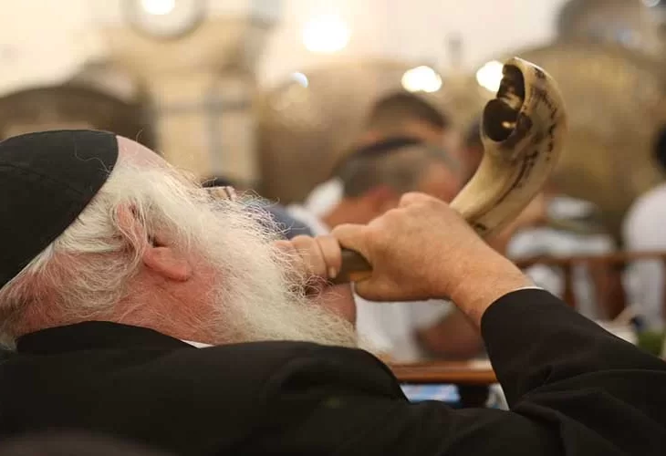 פרוטקציה לראש השנה