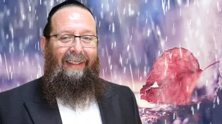 האלמנה בוכה ומתחננת: "על עצמי אני מוותרת"