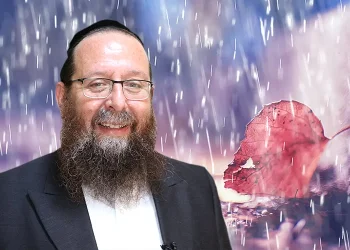 האלמנה בוכה ומתחננת: "על עצמי אני מוותרת"