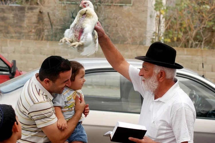 יום כיפור 2023: מנהג הכפרות בכסף? יום כיפור 2023: מנהג הכפרות בכסף?