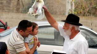 יום הכיפורים 2023 תשפ"ד: מנהג הכפרות