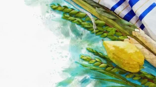 השיא האמיתי תשרי