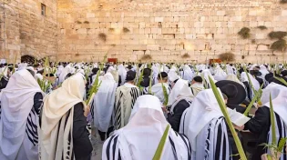 סוד החיים