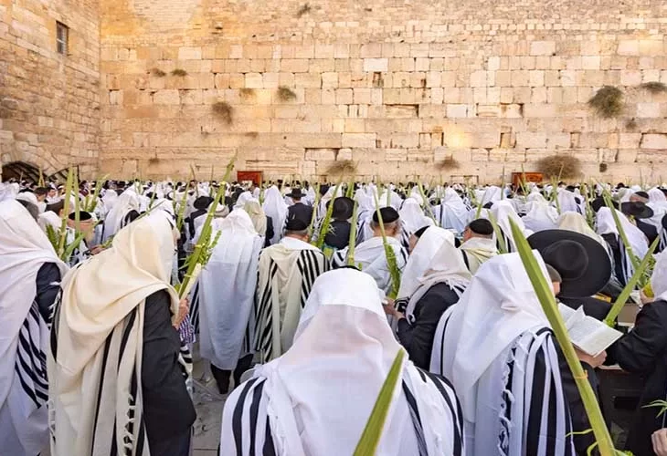 סוד החיים