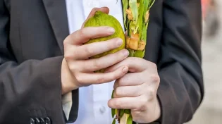 2 הדרכים לאגוד את ארבעת המינים