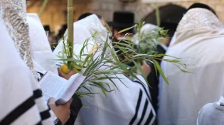 סודות יום הושענא רבא
