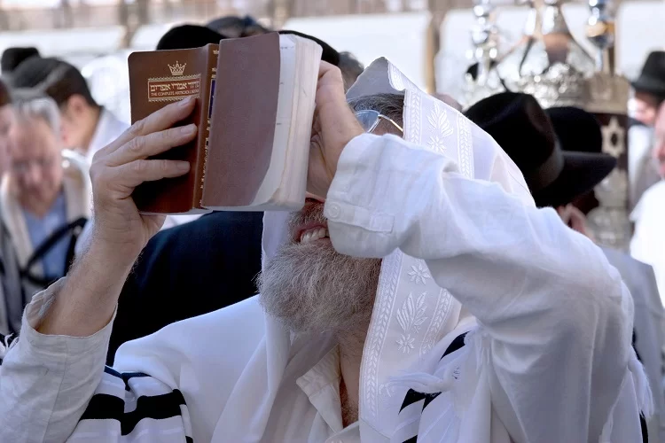 ותן טל ומטר לברכה: מה יעשה מי ששכח לומר ’ברך עלינו’? ותן טל ומטר לברכה: מה יעשה מי ששכח לומר ’ברך עלינו’?