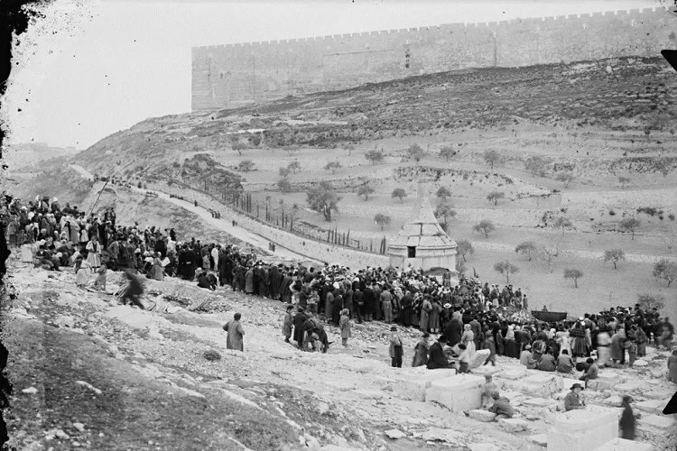 מסתורי: חופה שחורה שתעצור את המגיפה