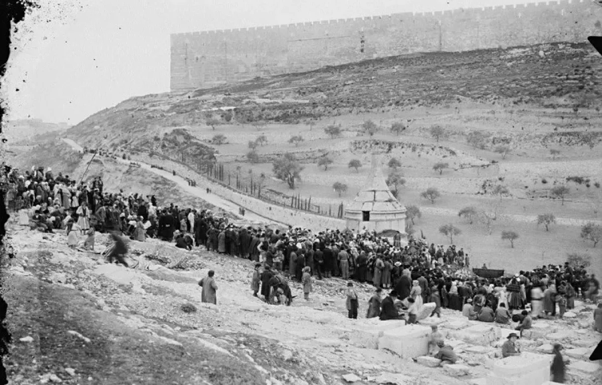 מסתורי: חופה שחורה שתעצור את המגיפה