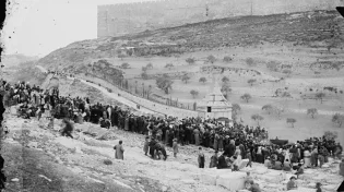 מסתורי: חופה שחורה שתעצור את המגיפה