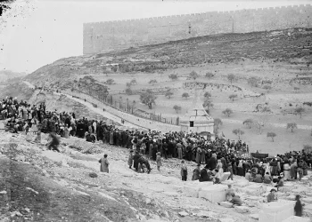 מסתורי: חופה שחורה שתעצור את המגיפה