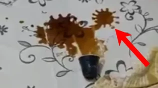קורונה על השולחן: "נס מדהים"