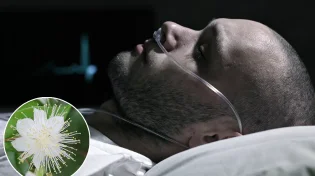 מונע סרטן: 10 סגולות מדהימות שיש להדס