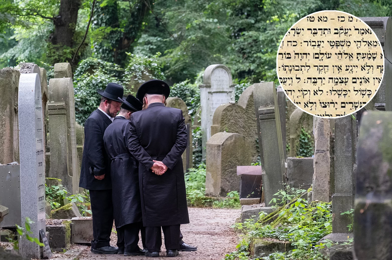 מצמרר: הפסוק מהפרשה בגימטריה כשם הנפטר מצמרר: הפסוק מהפרשה בגימטריה כשם הנפטר