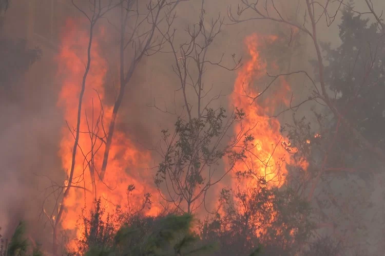 ניסי ניסים: ספרי תורה עתיקים ניצלו בזכות הקורונה ניסי ניסים: ספרי תורה עתיקים ניצלו בזכות הקורונה