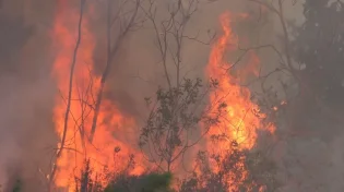 ניסי ניסים: ספרי תורה עתיקים ניצלו בזכות הקורונה