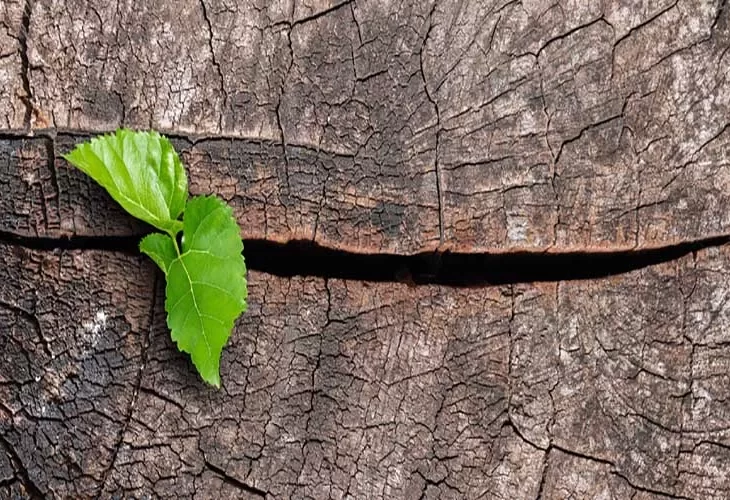 ההתחלה שבהתחלות