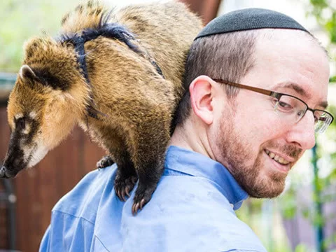 חיות הקודש: בעלי חיים מופלאים במדרשים