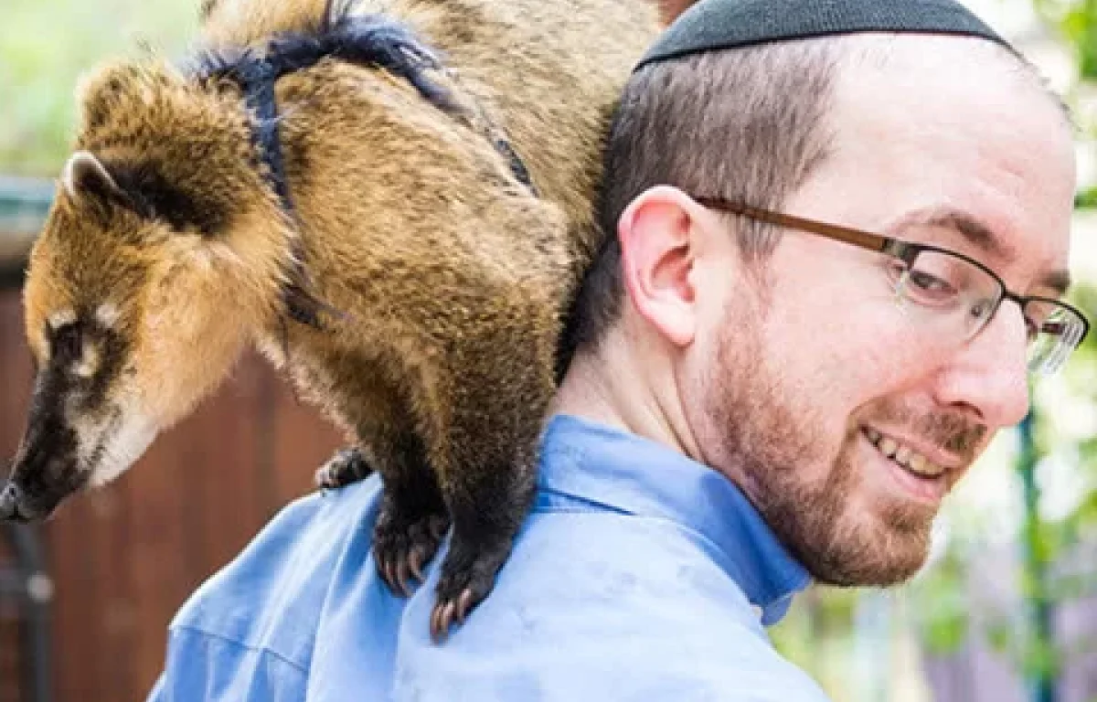 חיות הקודש: בעלי חיים מופלאים במדרשים