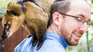 חיות הקודש: בעלי חיים מופלאים במדרשים