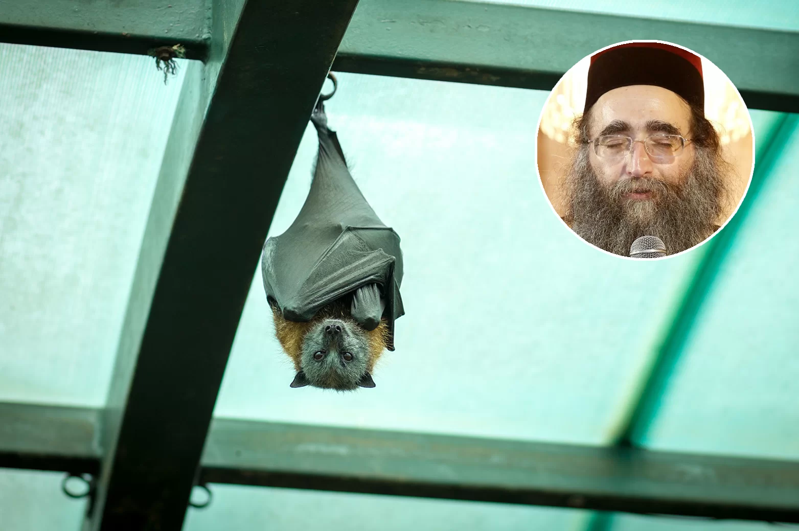 הרב פינטו: הקורונה היא עונש מאלוקים