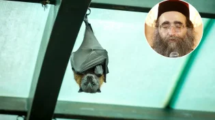 האדמו"ר רבי יאשיהו פינטו: הקורונה היא עונש מאלוקים