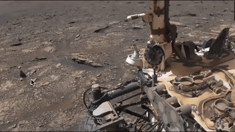 תעלומה על מאדים: האם נמצא יצור חי?