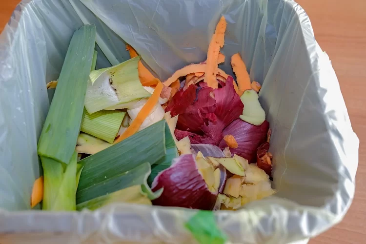 אל תזרקו את הקליפה, תאכלו אותה! אל תזרקו את הקליפה, תאכלו אותה!