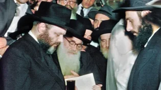 י"ד כסלו: כל מה שלא ידעתם על חתונת הרבי מליובאוויטש