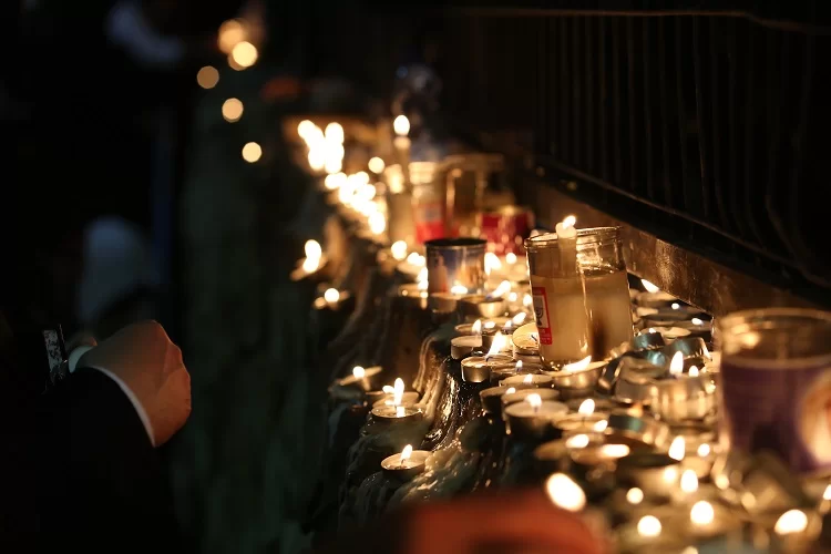 עובדות מרתקות על הסבא מנובהרדוק