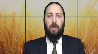 הדף היומי - פסחים ט"ו: סוגיית ר&rsquo; חנינא סגן הכהנים